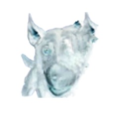 pengoony3