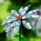 Mechanical Pollen