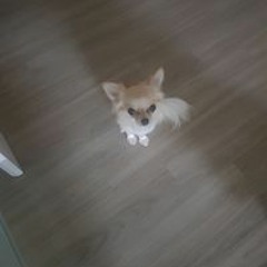 정태윤