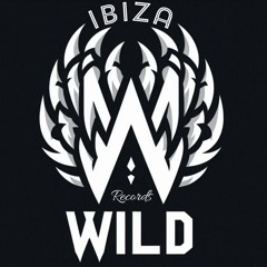 Ibiza Wild records