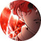 User 323632244