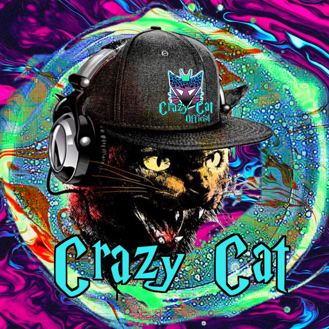 Stream Crazy Cat (Official) music | Listen to songs, albums