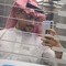 فردوس