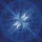 Flying Forest / Parallaxis