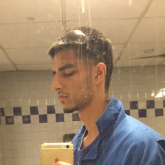 Parveer Chahal