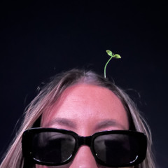 lil sprang