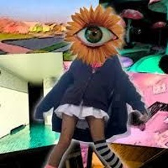 Ash_your_local_Trans_idiot