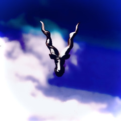 ɒƚɘʞꙄ |i⅃