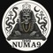 NUMA9