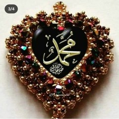 نور القران