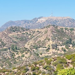 AreYongKongs
