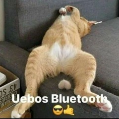Pusi