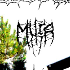 33mvra