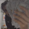 2am Cam
