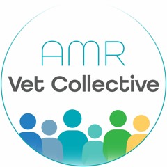 AMR Vet Collective