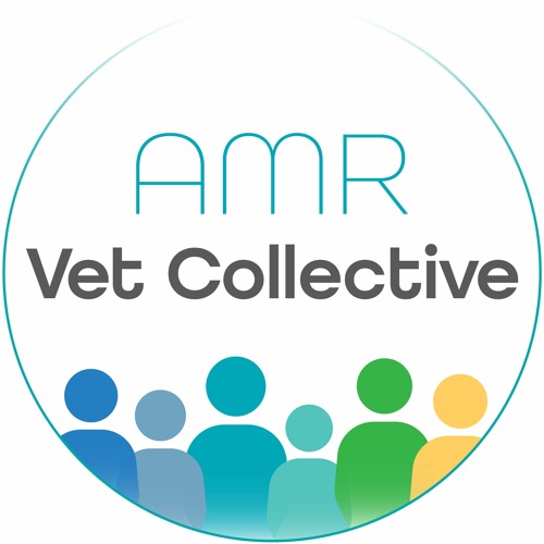 AMR Vet Collective’s avatar