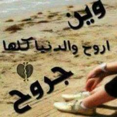 الجمل الجمل