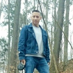 Andy P