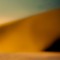 Elpasma