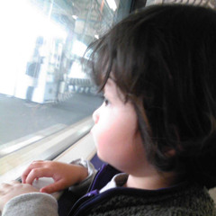 ryojam