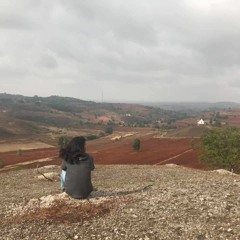 ရင့်ကျက်ခါနီး - ကြက်ဖ
