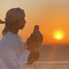 ﮼المنصوري 📻