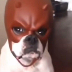 lilstealyogirl