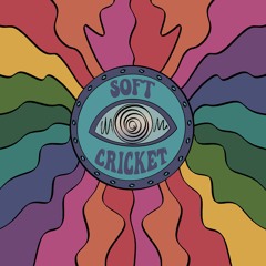 Soft Cricket