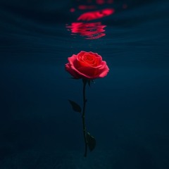 John Forever (Trap & Rap Genre)