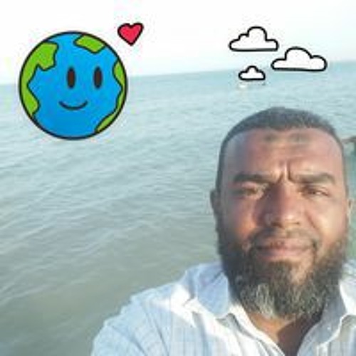 Ahmed Shaaban’s avatar