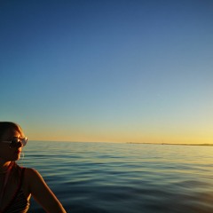 The Diamond Light Source