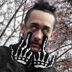 DVNTV$
