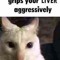 ratmolester