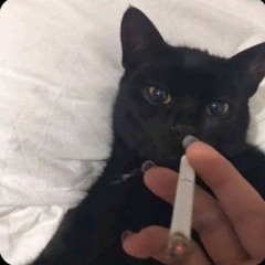 Маша Машовна