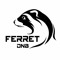 ferret_dnb