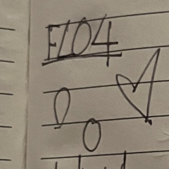 hazfl04