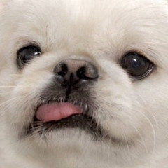 ち🧙🏻🪄︎︎◝✩