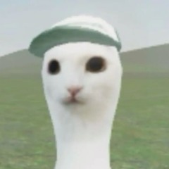 DP Ch3n