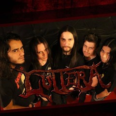 Luttera Official