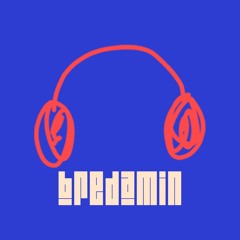 BREDAMIN