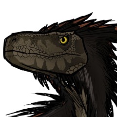 Levimey11
