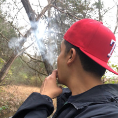 L$DTomas