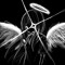 entity 096
