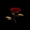 SadFlower