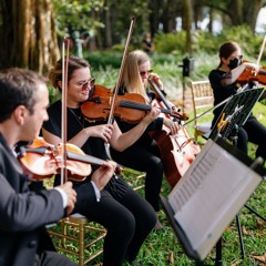 Sunset Strings, Inc.