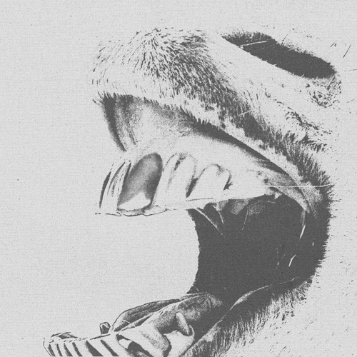 MURDA MURDA ROUGH IDEA