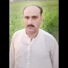 Qaiser Shah
