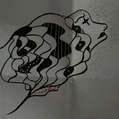 DAVO312