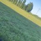 LECFJF