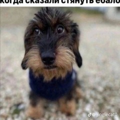 qwwerzd